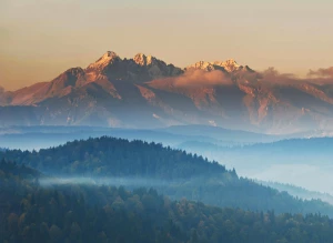 Czy w 2023 dasz radę złożyć sprawozdanie BDO?