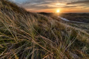 HMA w Grecji: kompleksowy przewodnik po usługach, cenach, formalnościach i opiniach — jak wybrać najlepszą ofertę dla podróży i biznesu